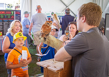 An exhibit on owls